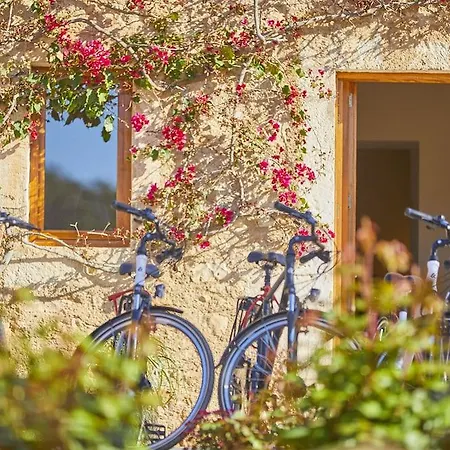Hotell Son Penya Adults Only Petit & 4*